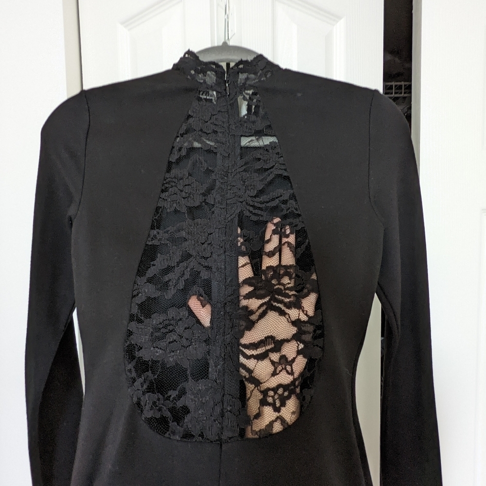 Alice and Olivia black maxi gown - Picture 8 of 12